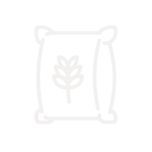 BDKO_Icons5_weiss